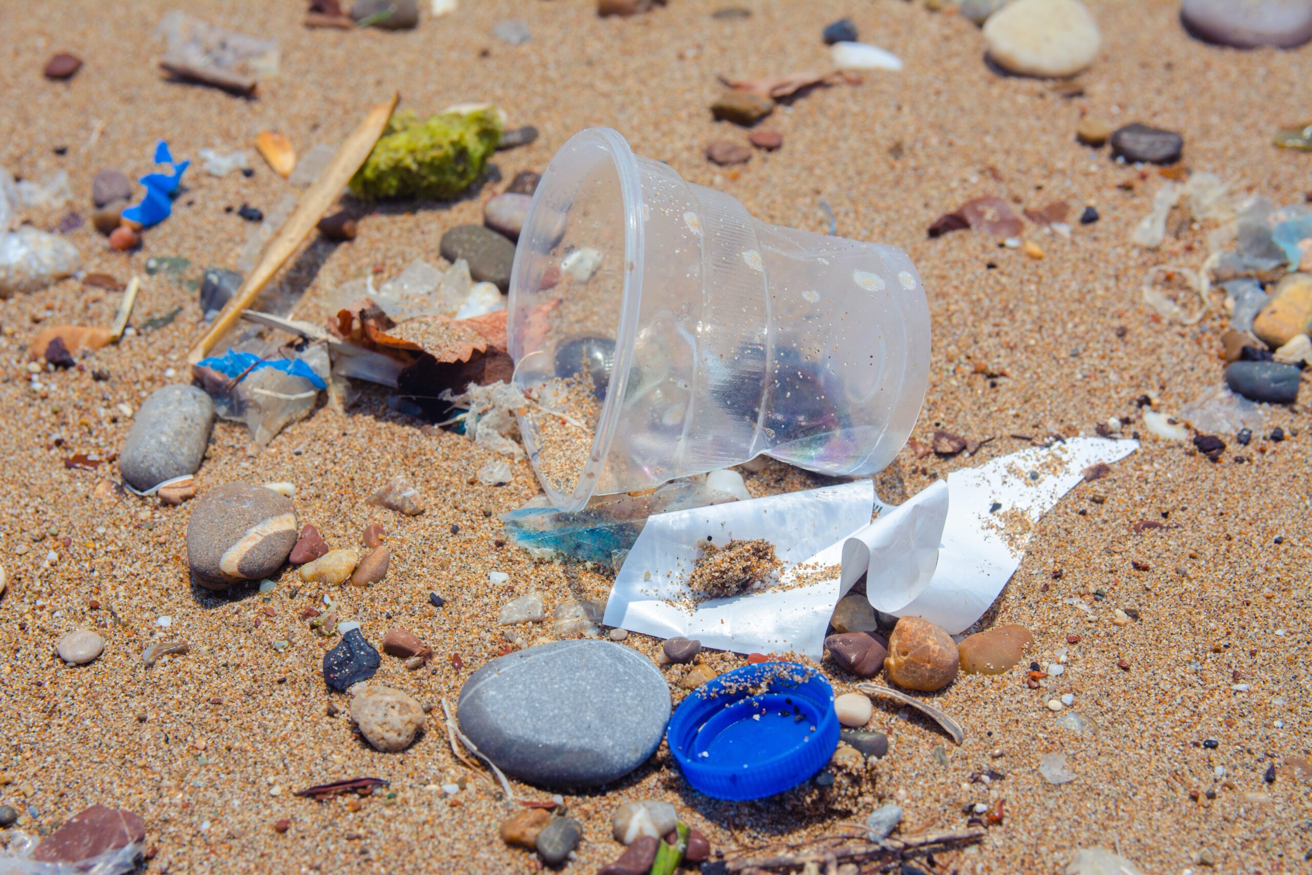 Global Treaty Targets Plastic Pollution Crisis